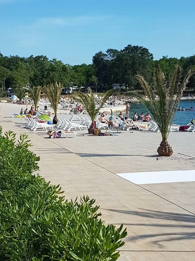 Ferienwohnung Mit 2 Schlafzimmer Oder Studio Apartment - Istrien-Fiorini Brtonigla Hébergement de vacances